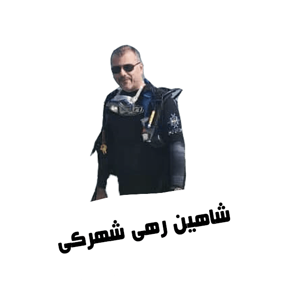 شاهین رهی شهرکی