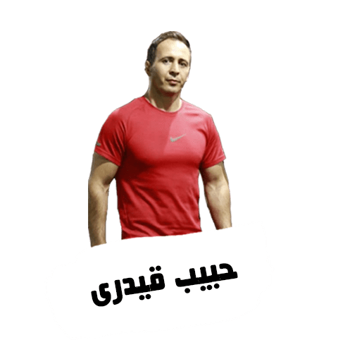 حبیب قیدری