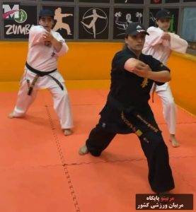 پروین قنبرزاده