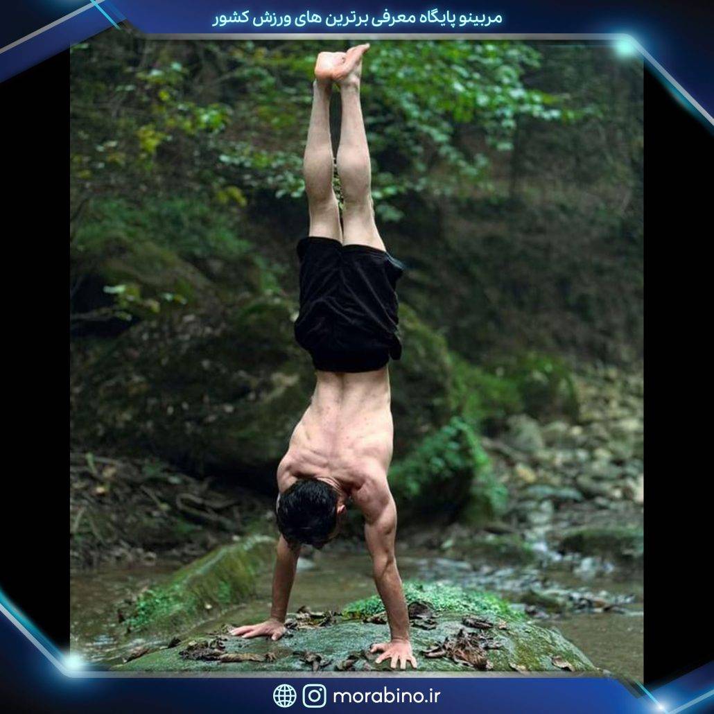 علیرضا ابراهیم زاده