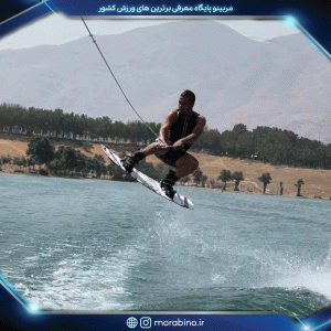 محمد رضا صباغی