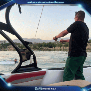 محمد رضا صباغی