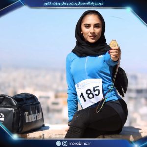 نگین نظامی