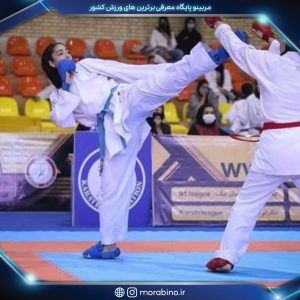 نگین یکتافر