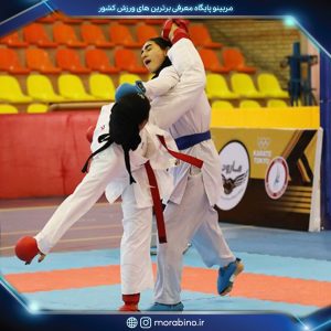 نگین یکتافر