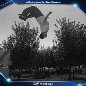 نیکنام ایران نژاد