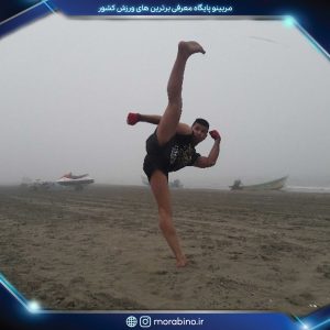 امین حسینیان