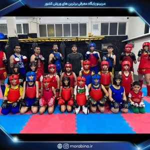 مهران کیاراد