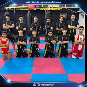 مهران کیاراد