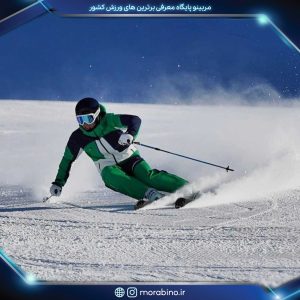 رضا انصاری