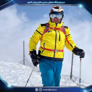رضا انصاری