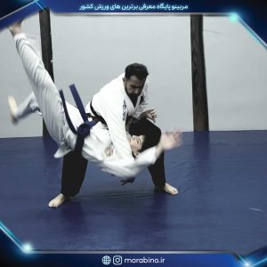 حامد مجیبی