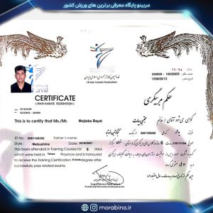مجتبی بیات