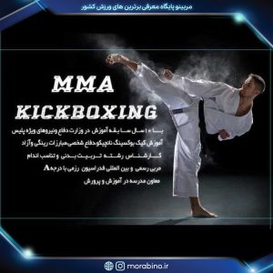 ابوالفضل حسین زاده