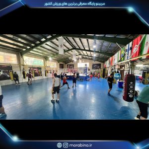 مهرداد نادری