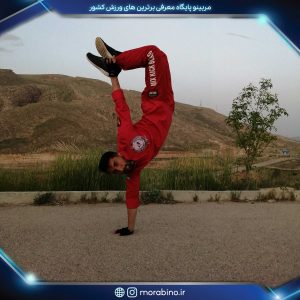 محمدرضا نامدار