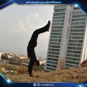 محمدرضا نامدار