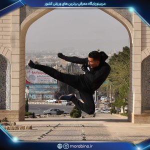 محمدرضا نامدار