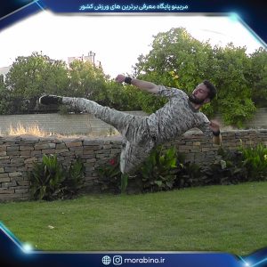 محمدرضا نامدار