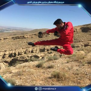 محمدرضا نامدار