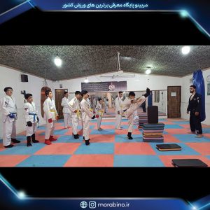 محمد یونس محمدی