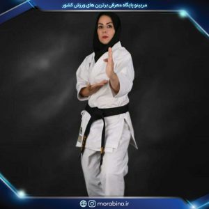 مریم ابری