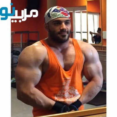 امیر حسین احمدی