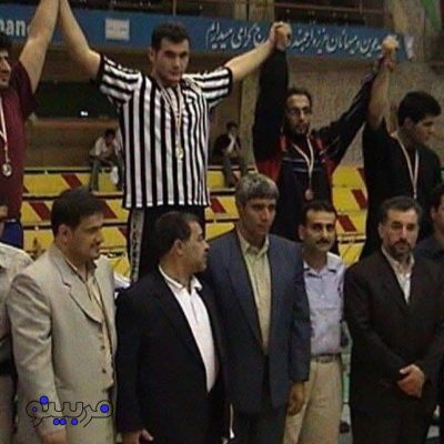سید مهدی شاهچشمه