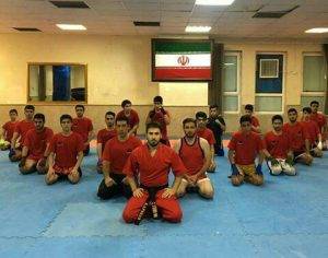 نیما افشار