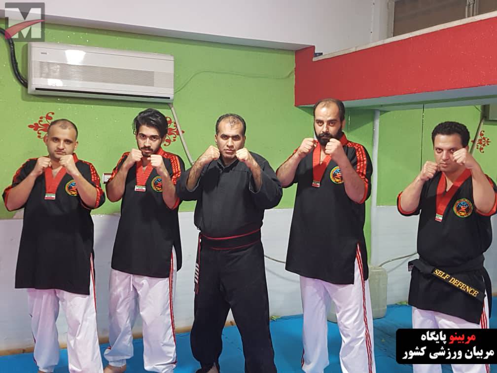 امیرحسن شاهی