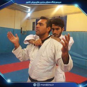 داود امیری