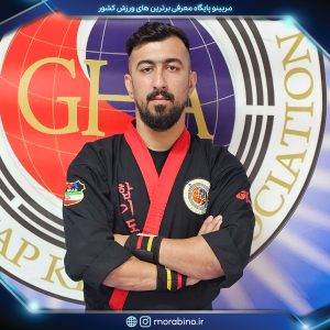 مهدی گلپیر
