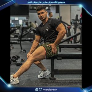 امیر ذوالفقاری