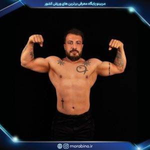 مجتبی خالصی