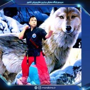 فریبرز روستا