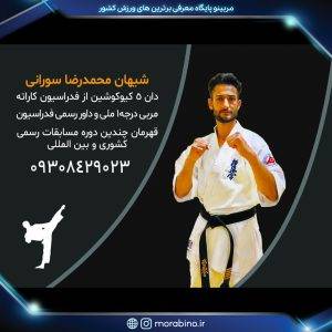 محمدرضا سورانی