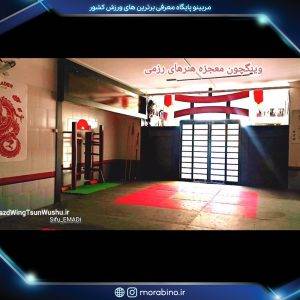 سیفو عمادی