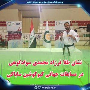 فرزاد محمدی