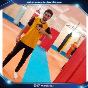 مهدی فرج الهی