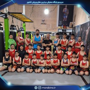 مجتبی بودلایی