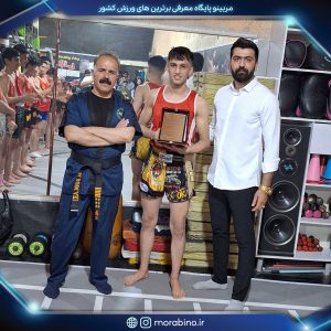 مجتبی بودلایی