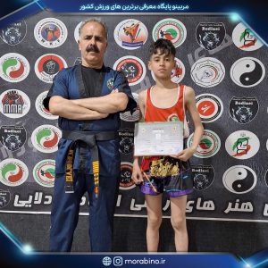 مجتبی بودلایی