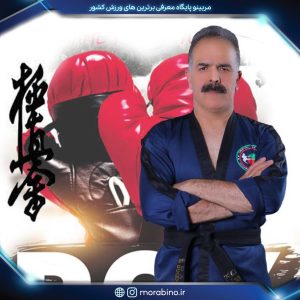 مجتبی بودلایی