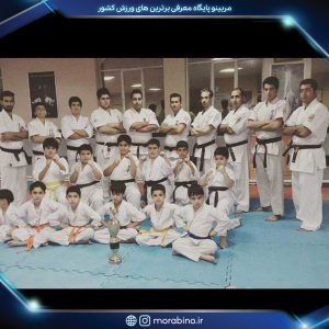 کامران عباسی
