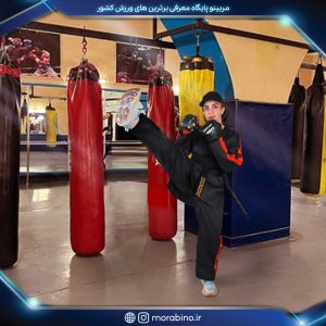 حميده موسوى