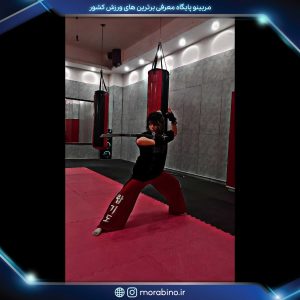 هلیا پژمان نور