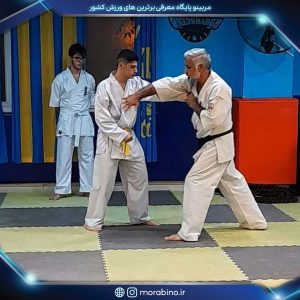 مهدی خزلی
