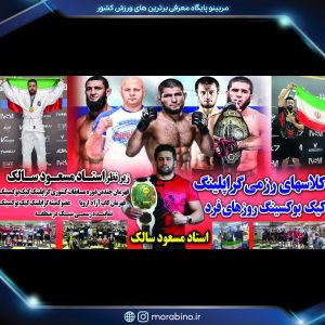 مسعود سالک