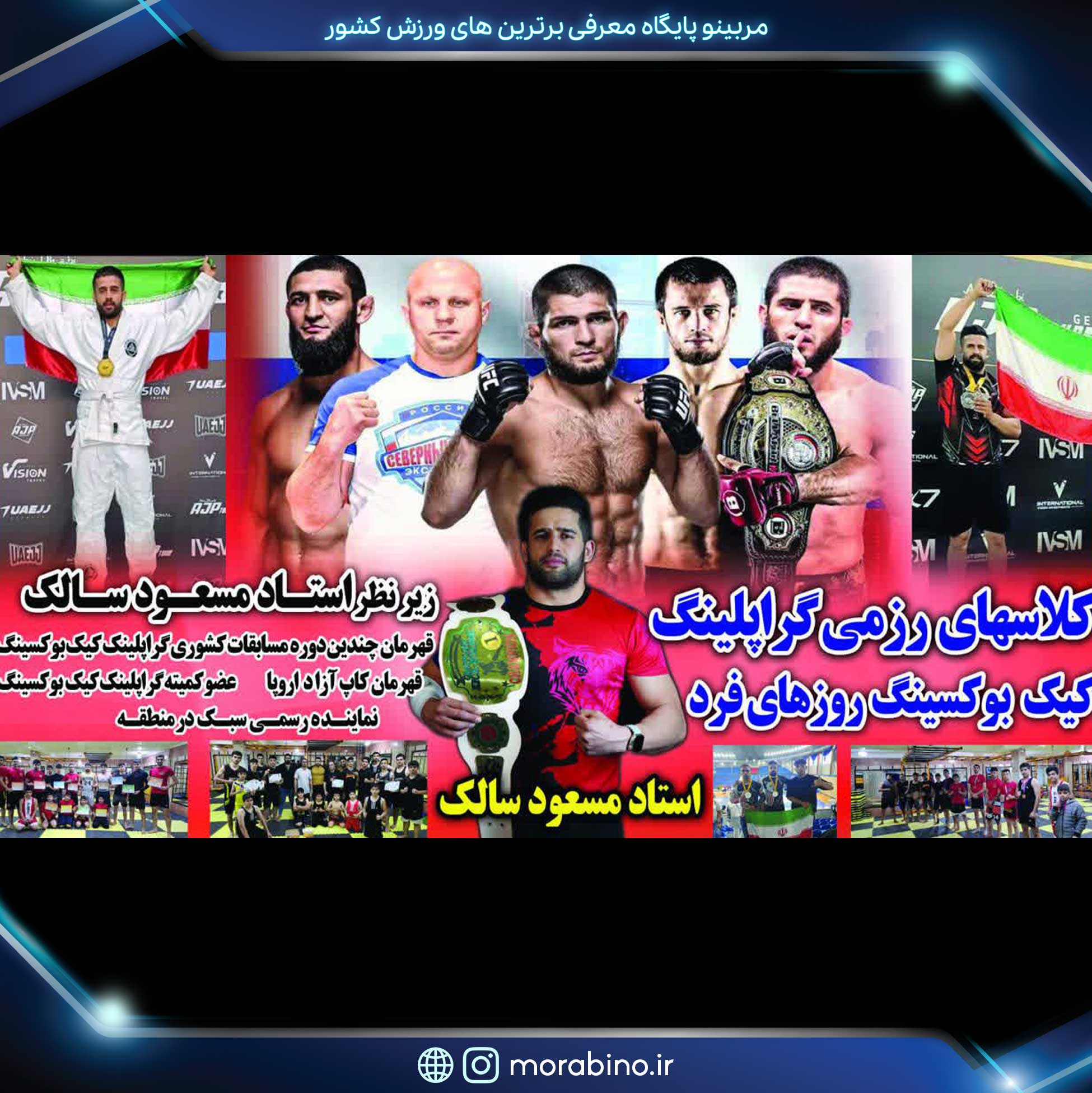 مسعود سالک
