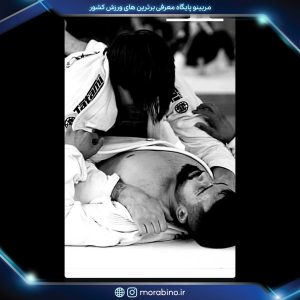 مسعود سالک